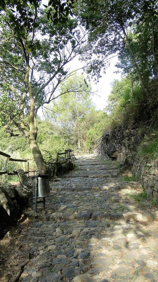 Appartamento Ca La Roseta Castellfollit de la Roca Esterno foto